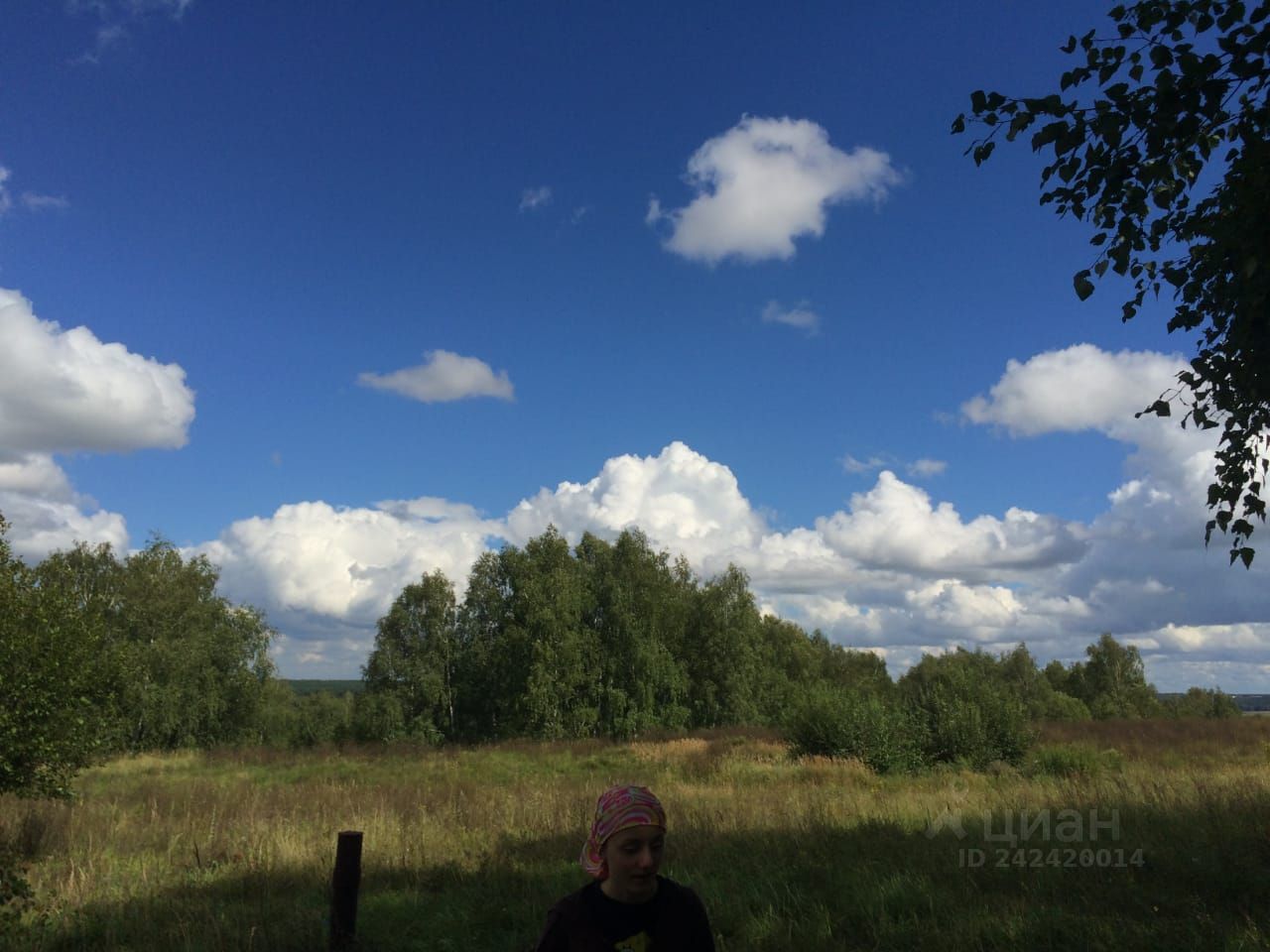 Купить загородную недвижимость в селе Малеево Касимовского района, продажа  загородной недвижимости - база объявлений Циан. Найдено 4 объявления