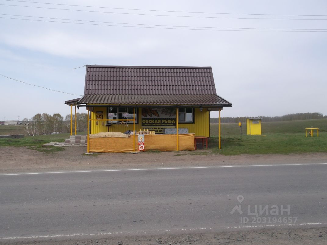 дом в масляхе алтайский край (64) фото