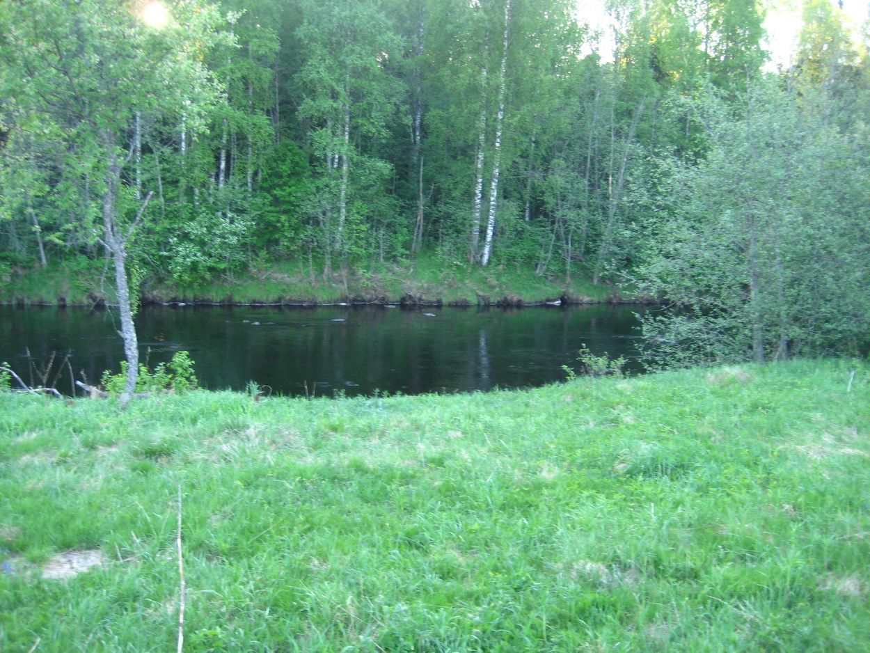 Купить загородную недвижимость в деревне Усть-Сара Лодейнопольского района,  продажа загородной недвижимости - база объявлений Циан. Найдено 1 объявление