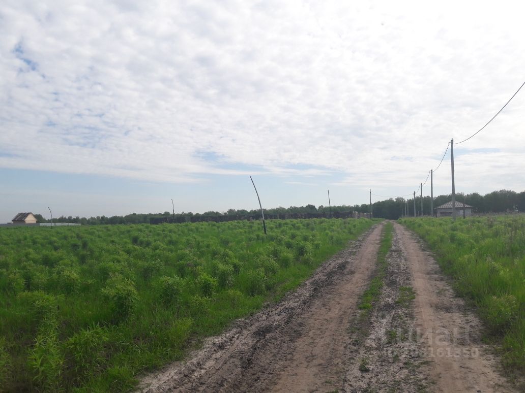 Купить загородную недвижимость в селе Отрадное Брянского района, продажа  загородной недвижимости - база объявлений Циан. Найдено 3 объявления