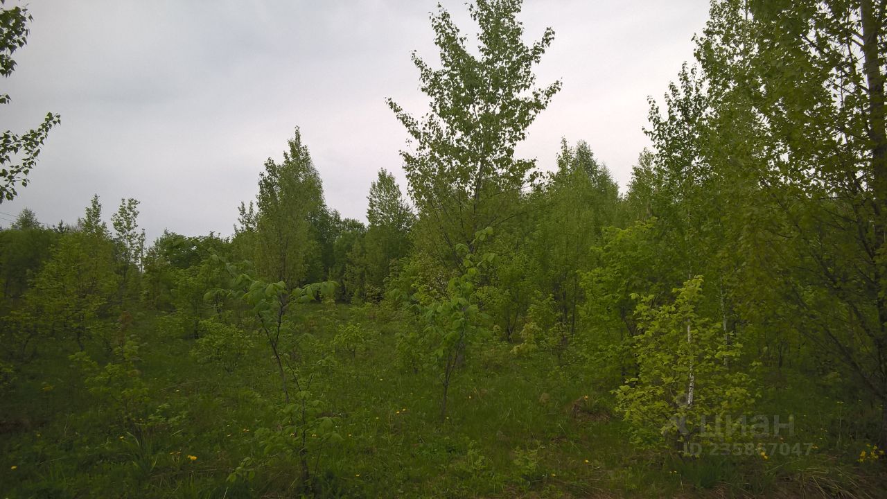 Купить загородную недвижимость в СНТ Родник Иглинского района, продажа  загородной недвижимости - база объявлений Циан. Найдено 2 объявления