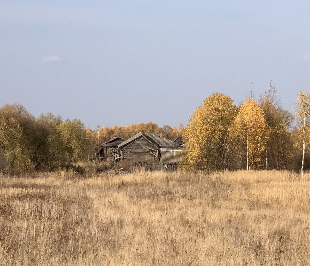 Купить земельный участок в деревне Ильино Гусь-Хрустального района, продажа  земельных участков - база объявлений Циан. Найдено 2 объявления