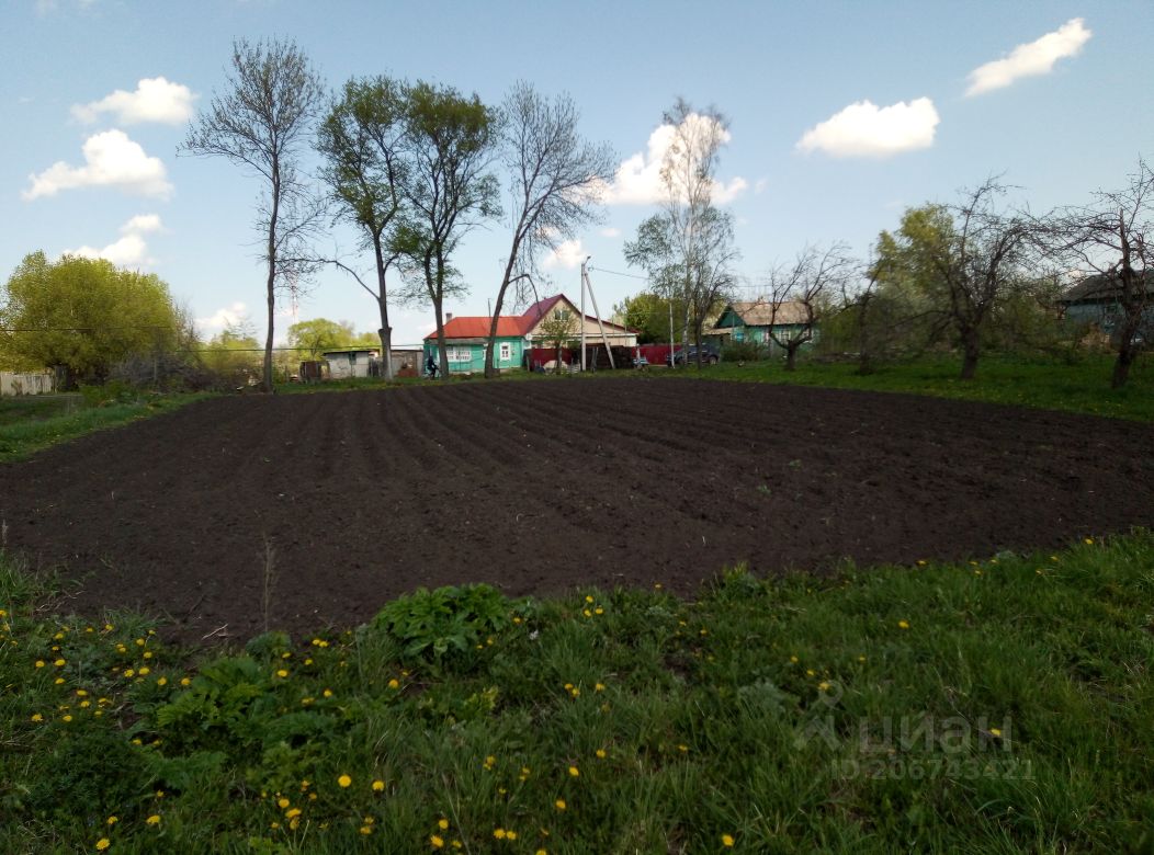 Купить загородную недвижимость в селе Староюрьево Тамбовской области,  продажа загородной недвижимости - база объявлений Циан. Найдено 4 объявления