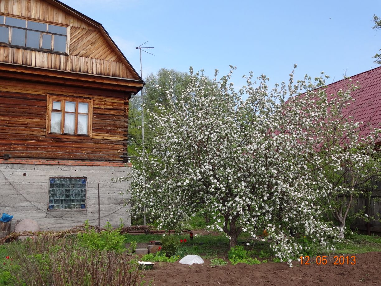 Купить дом в поселке Сельского типа Колтубановский Бузулукского района,  продажа домов - база объявлений Циан. Найдено 4 объявления