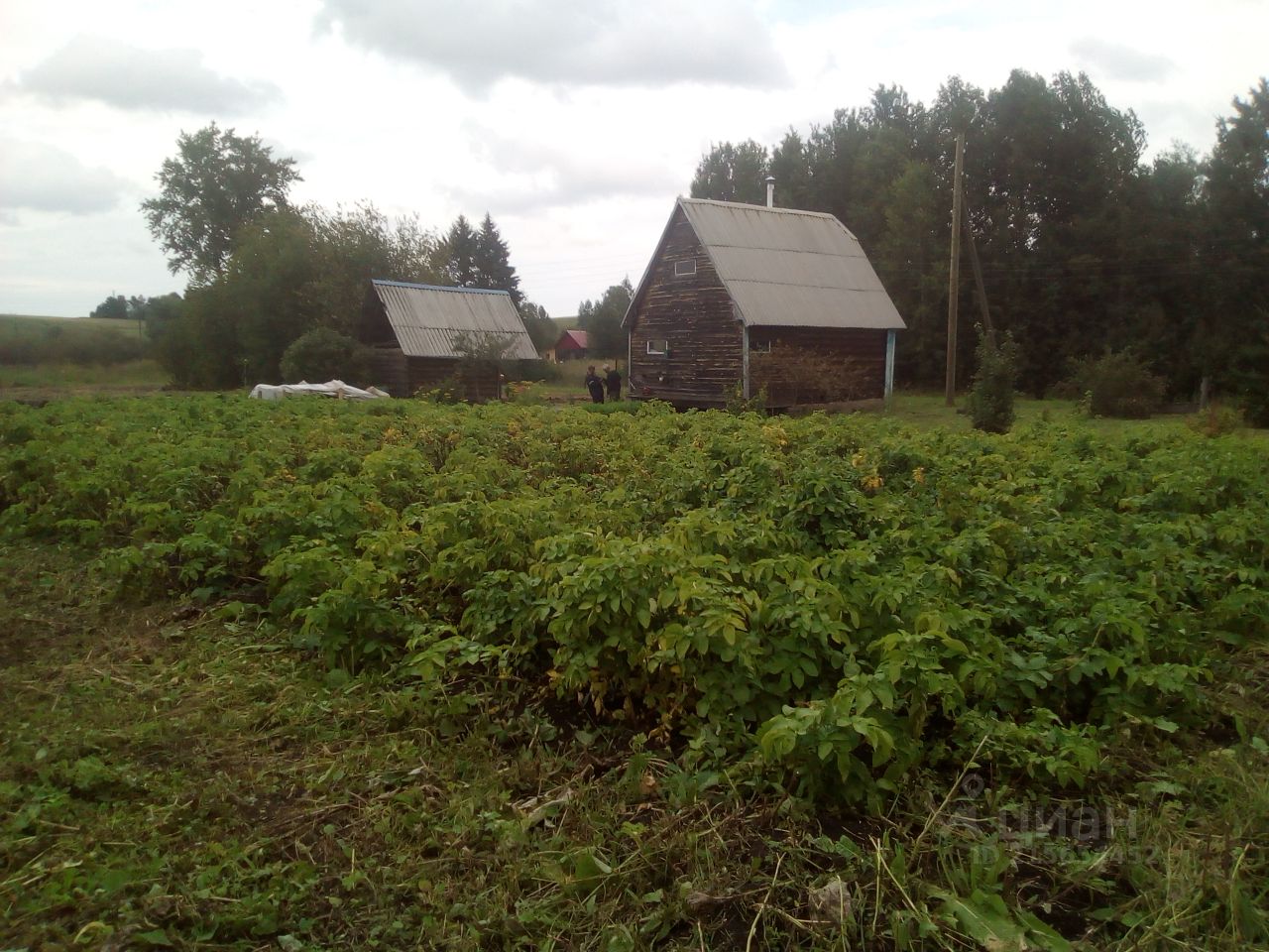 Купить дом в Кунгурском районе Пермского края, продажа домов - база  объявлений Циан. Найдено 1 объявление