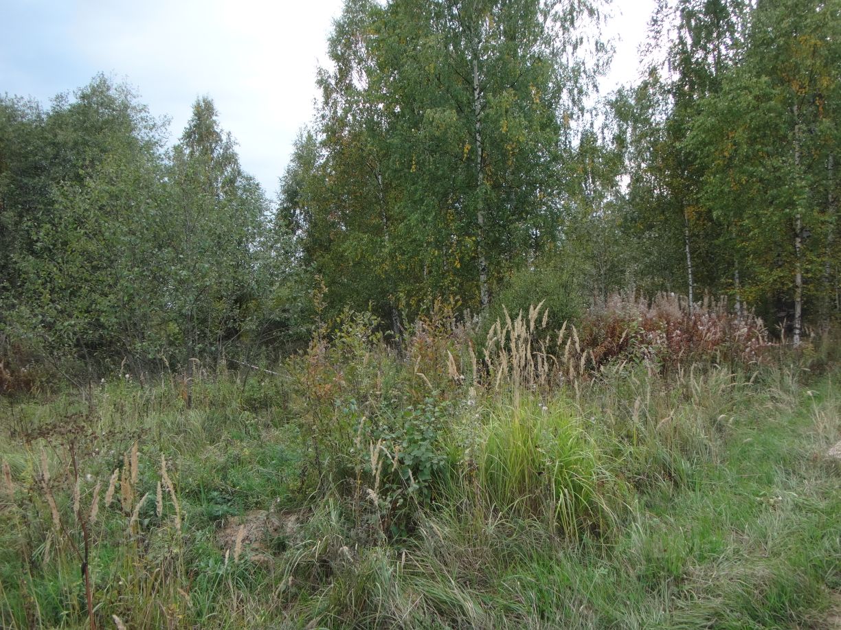 Купить загородную недвижимость в селе Княжьи Горы Зубцовского района,  продажа загородной недвижимости - база объявлений Циан. Найдено 5 объявлений