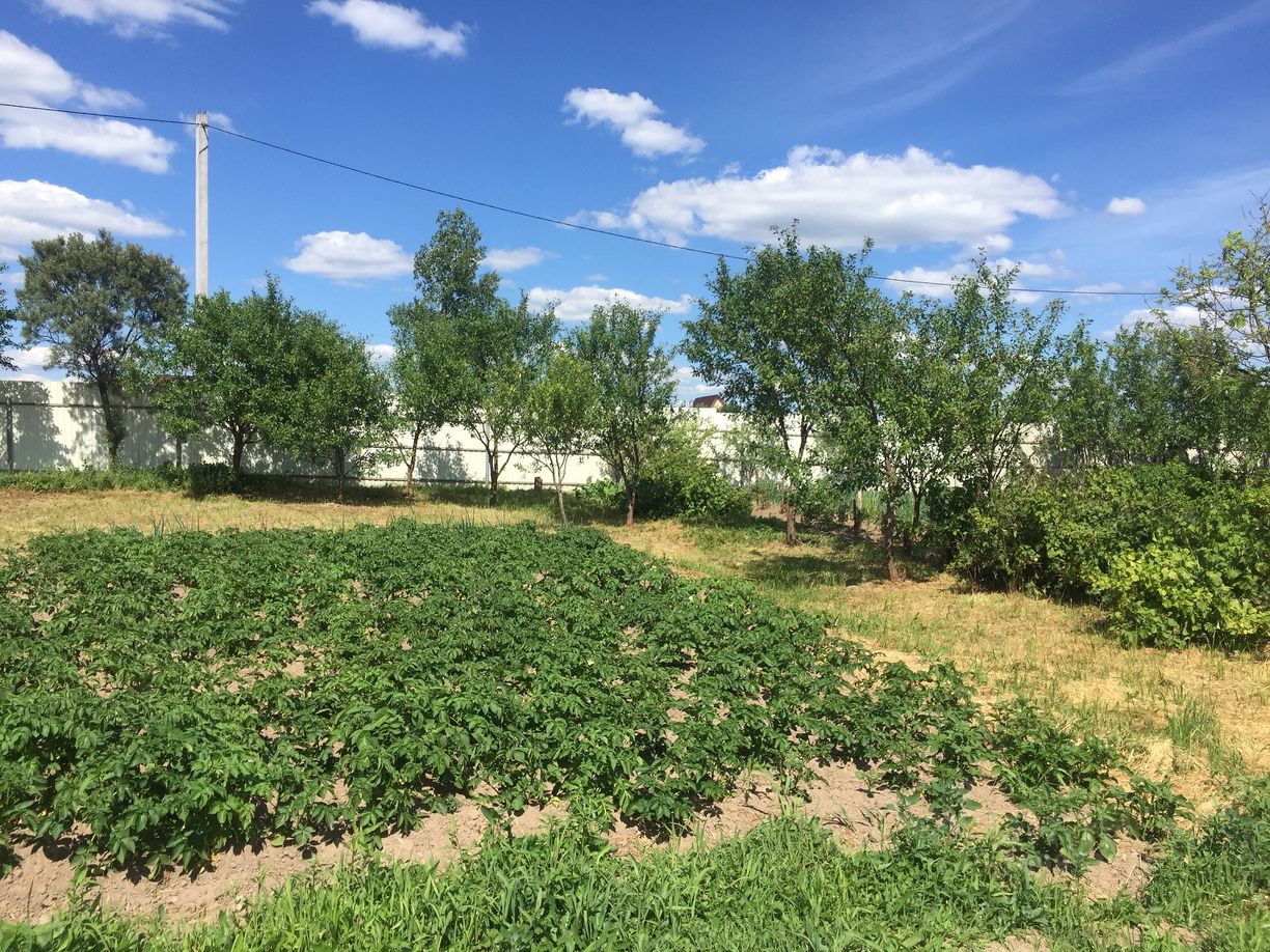 Купить загородную недвижимость в деревне Митрофаниха Собинского района,  продажа загородной недвижимости - база объявлений Циан. Найдено 2 объявления