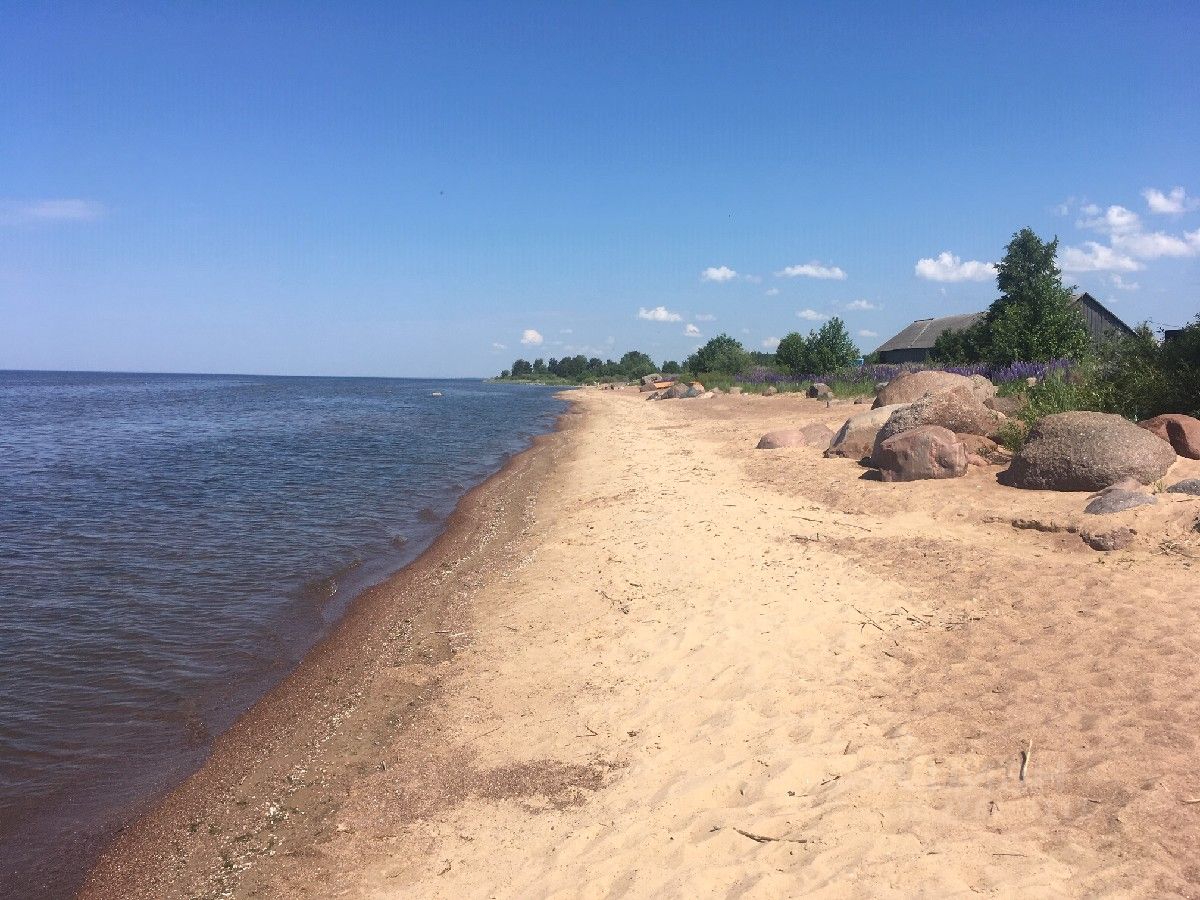 Купить загородную недвижимость в деревне Ветвеник Гдовского района, продажа  загородной недвижимости - база объявлений Циан. Найдено 1 объявление