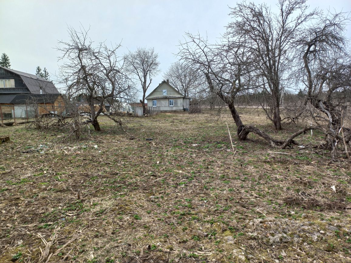 Купить земельный участок в поселке Оредеж Лужского района, продажа  земельных участков - база объявлений Циан. Найдено 6 объявлений