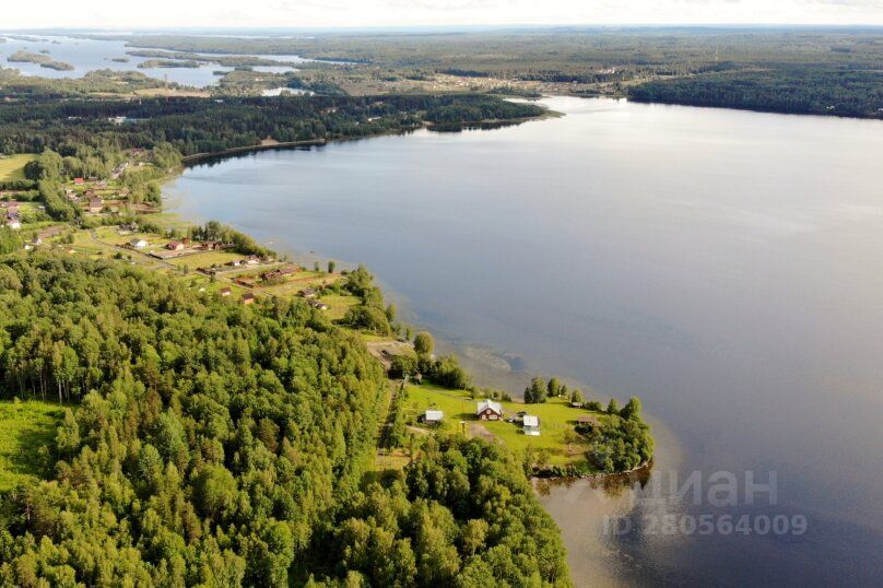 Кончезеро,. Кончезеро карелия. Кончезеро петрозаводск. Озеро пертозеро карелия. Кончезеро фото.