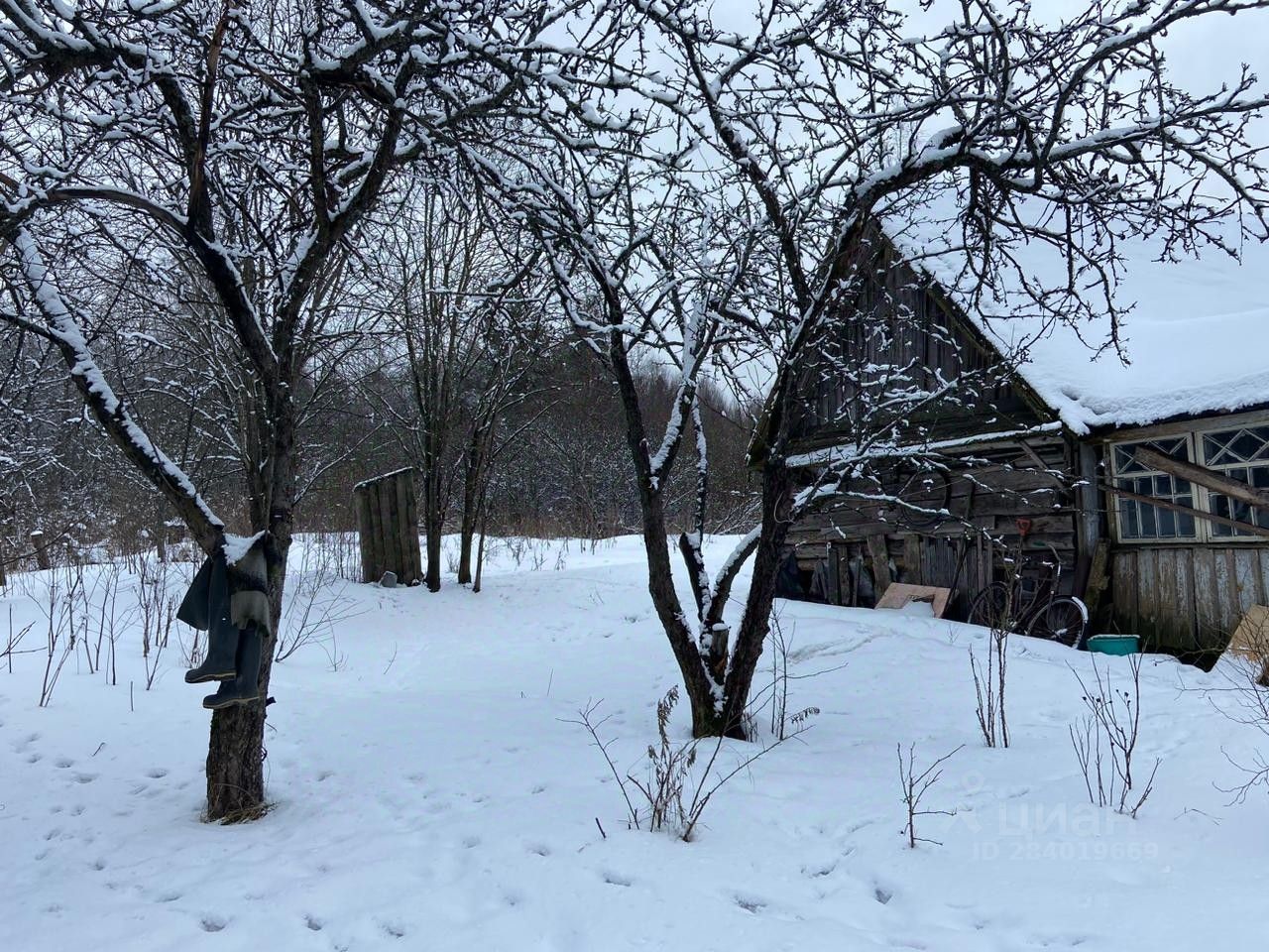 Купить загородную недвижимость в деревне Косколово Кингисеппского района,  продажа загородной недвижимости - база объявлений Циан. Найдено 2 объявления