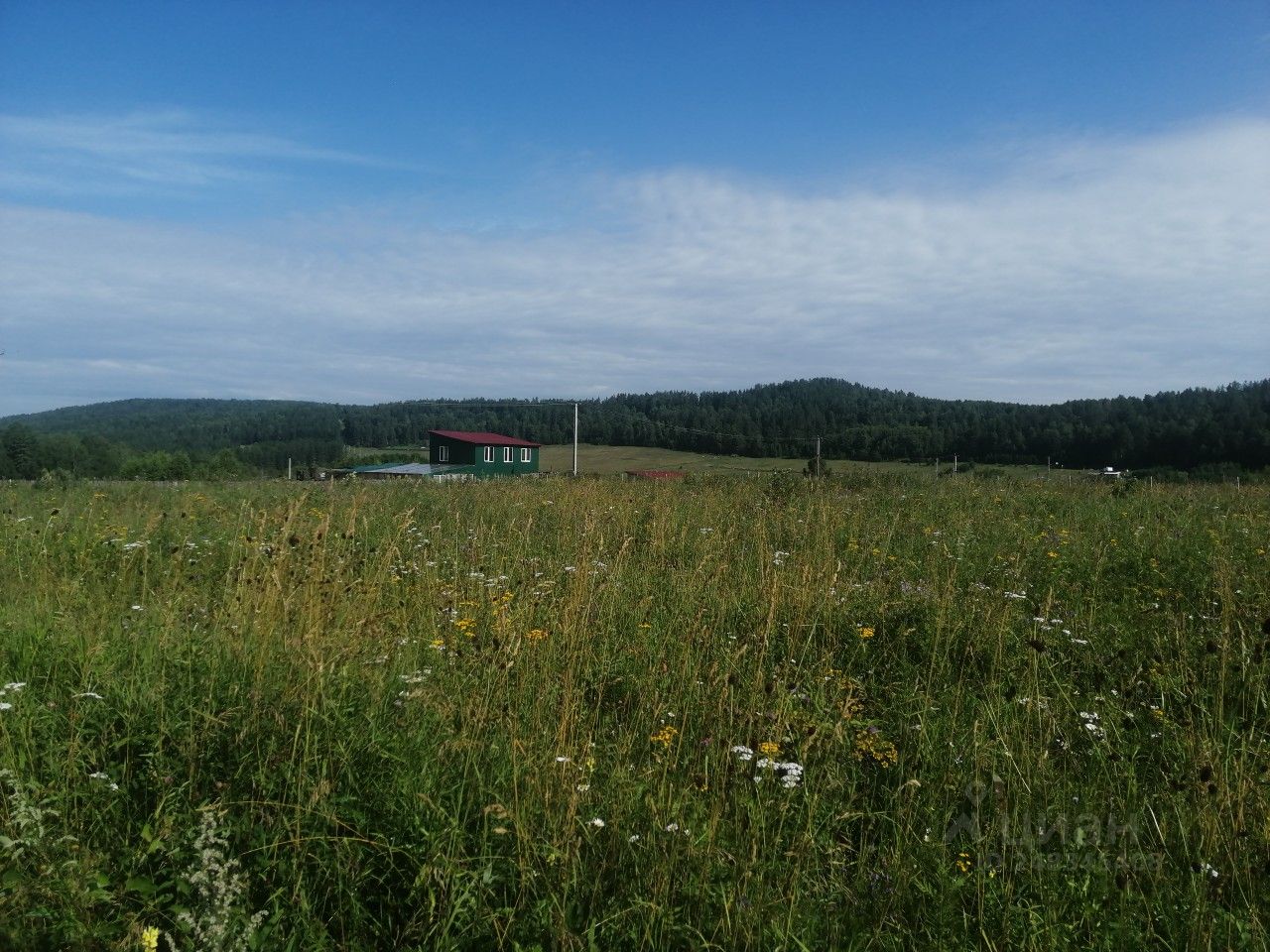 Купить земельный участок в урочище Грива городского округа Дивногорска,  продажа земельных участков - база объявлений Циан. Найдено 7 объявлений