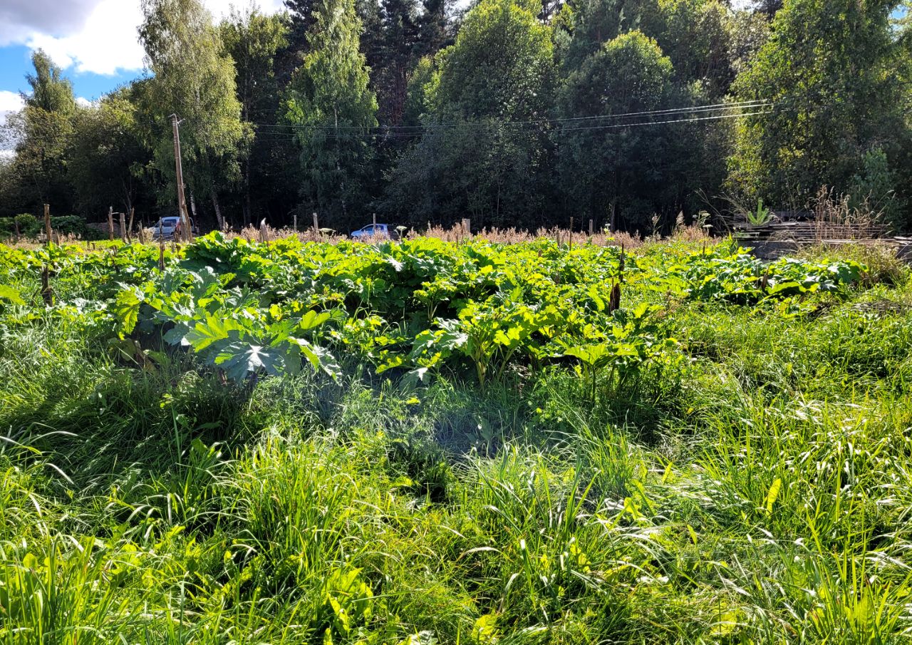 Купить загородную недвижимость в поселке Учхоз города Пскова, продажа  загородной недвижимости - база объявлений Циан. Найдено 6 объявлений