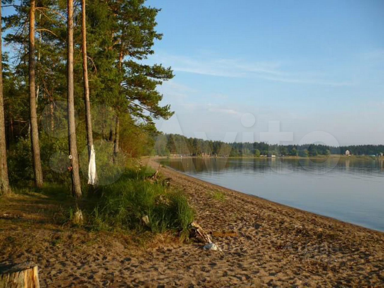 Купить загородную недвижимость в деревне Яблонька Фировского района,  продажа загородной недвижимости - база объявлений Циан. Найдено 2 объявления