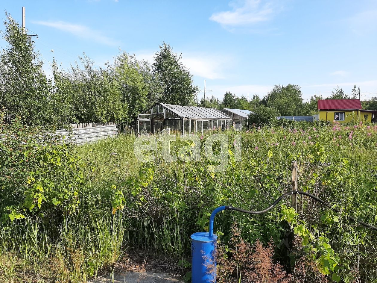 Купить земельный участок в садовое товарищество Ручеек в городе Сургут,  продажа земельных участков - база объявлений Циан. Найдено 15 объявлений