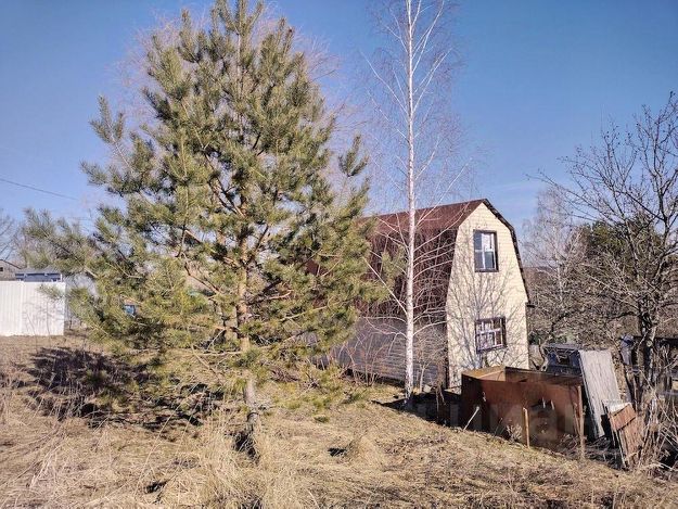 Село Дарковичи, Брянская область