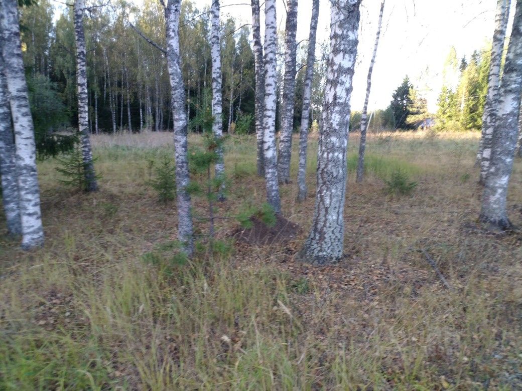 Купить загородную недвижимость в деревне Немки Московской области, продажа  загородной недвижимости - база объявлений Циан. Найдено 1 объявление