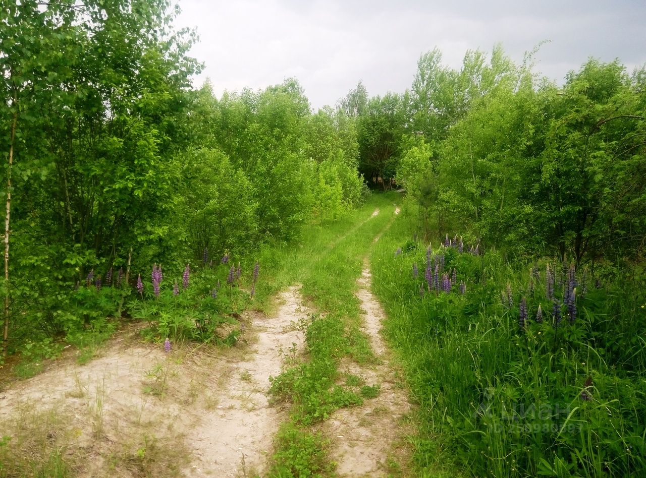 Купить загородную недвижимость в поселке Антоновка города Брянска, продажа  загородной недвижимости - база объявлений Циан. Найдено 2 объявления