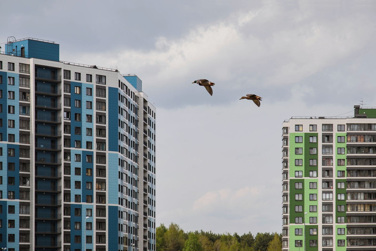 купить квартиру в ЖК Цвета Радуги