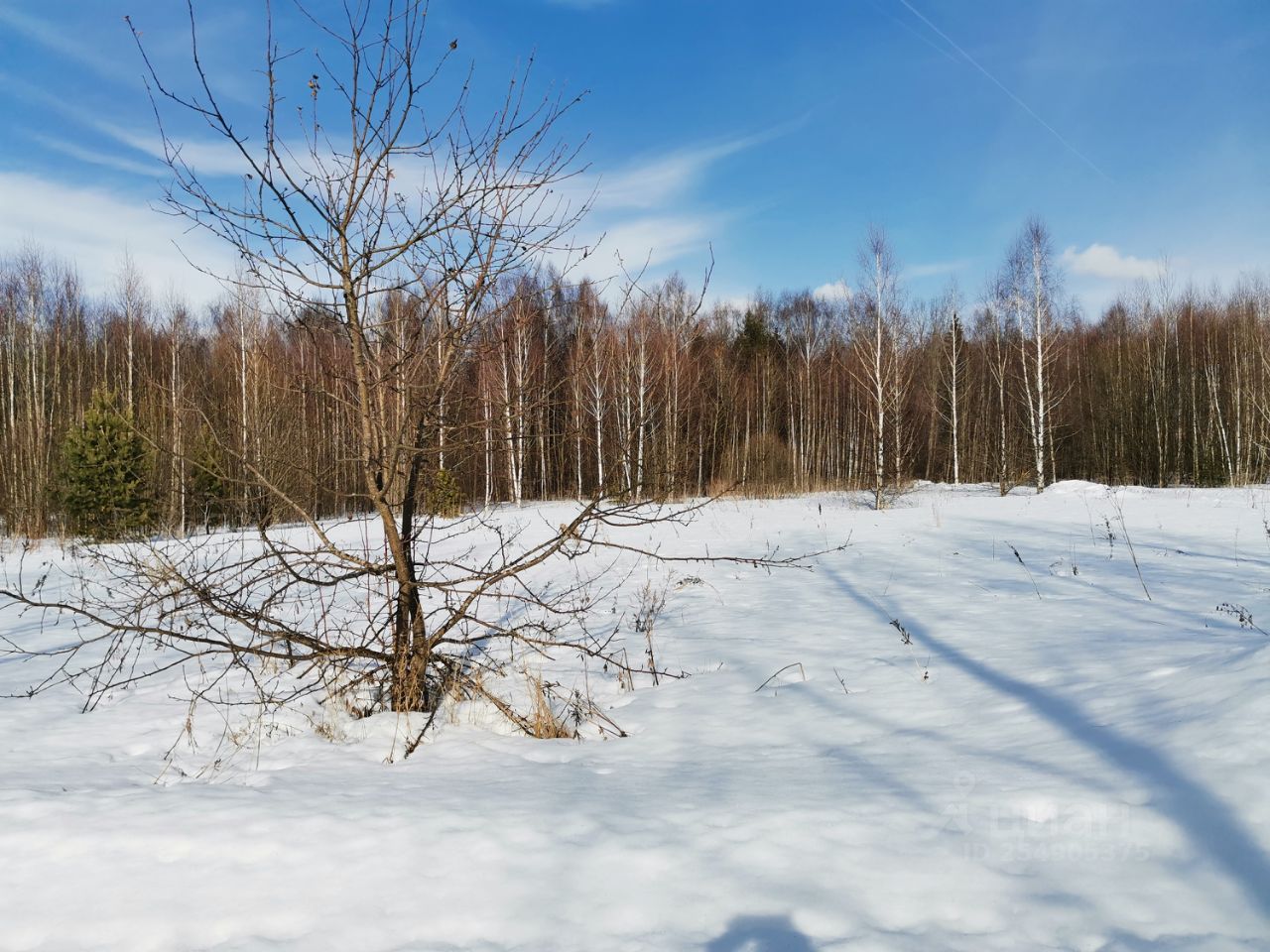 Купить загородную недвижимость в садовое товарищество Союз-Чернобыль  Судогодского района, продажа загородной недвижимости - база объявлений  Циан. Найдено 2 объявления