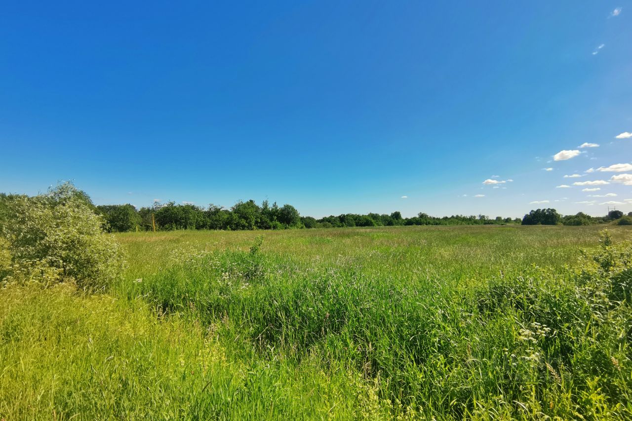 Купить загородную недвижимость в деревне Витка Новгородского района,  продажа загородной недвижимости - база объявлений Циан. Найдено 5 объявлений