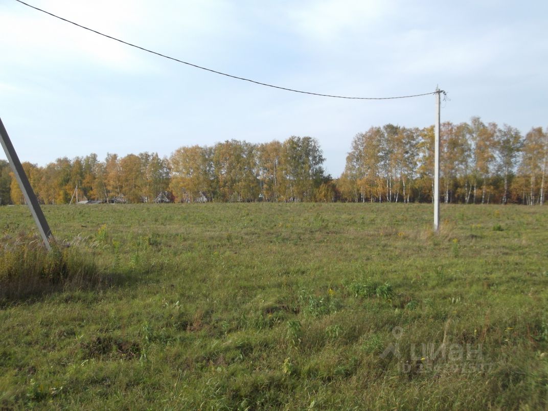 Купить участок 8 соток в деревне Родителево Городецкого района. Найдено 2  объявления.