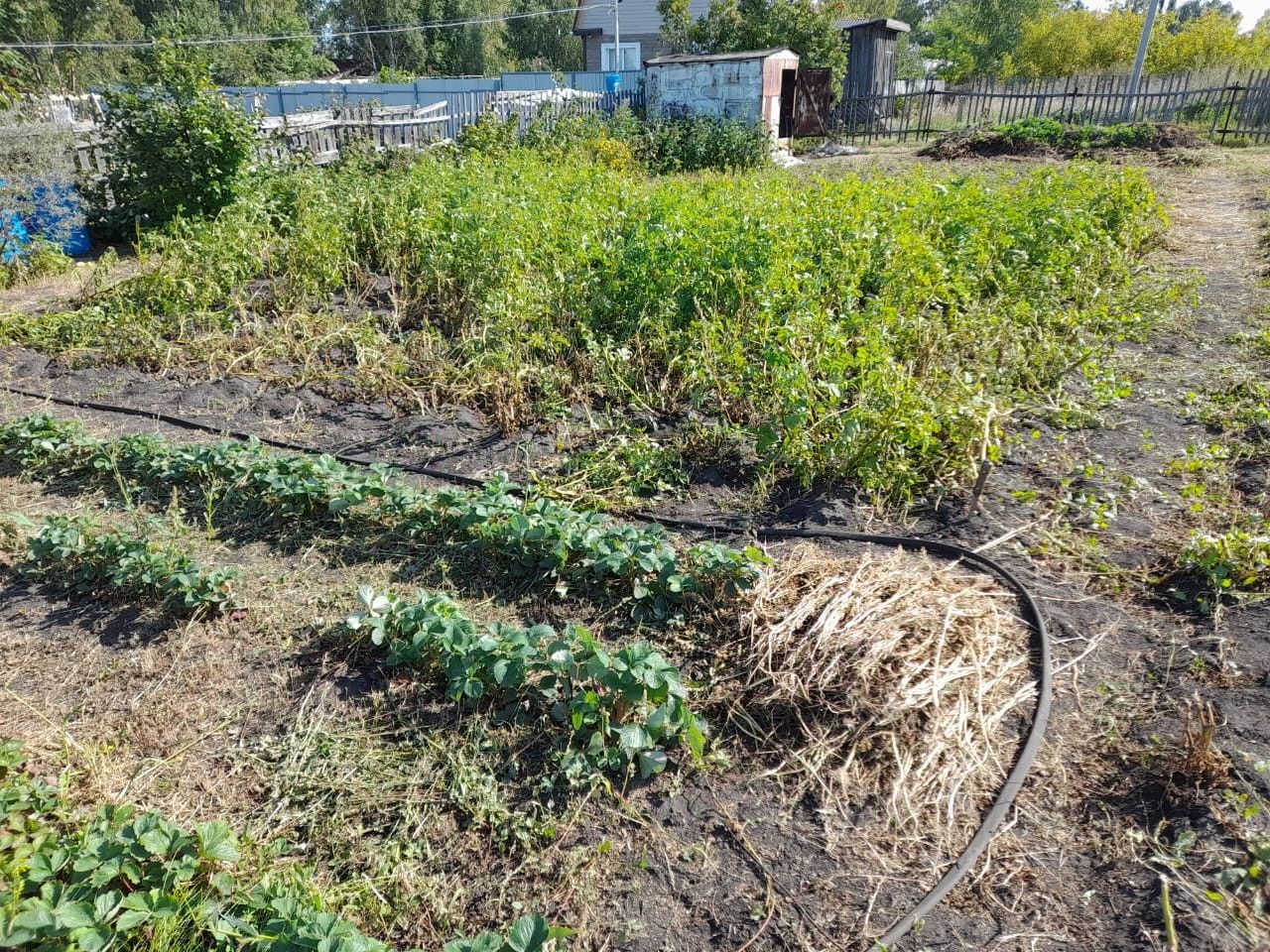 Купить земельный участок в селе Дружино Омского района, продажа земельных  участков - база объявлений Циан. Найдено 21 объявление