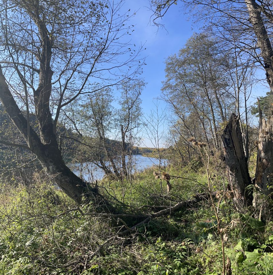 Купить загородную недвижимость в поселке Тверецкий Торжокского района,  продажа загородной недвижимости - база объявлений Циан. Найдено 3 объявления