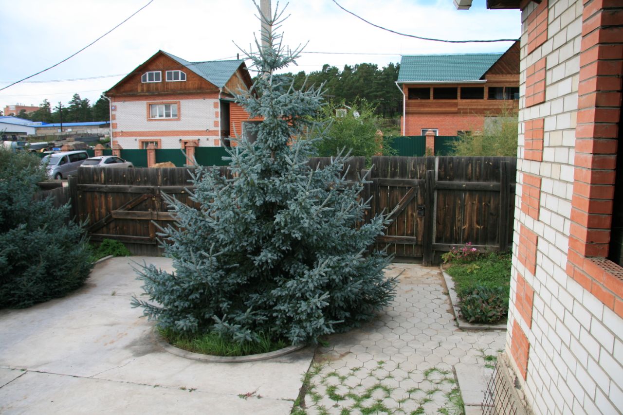 Купить загородную недвижимость в микрорайоне Сенная Падь в городе Чита,  продажа загородной недвижимости - база объявлений Циан. Найдено 15  объявлений