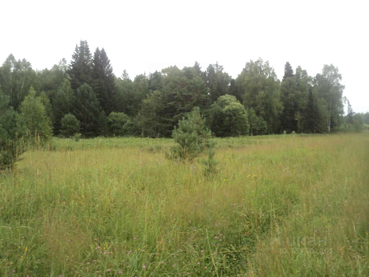 Купить загородную недвижимость в селе Дмитриевка Турочакского района,  продажа загородной недвижимости - база объявлений Циан. Найдено 5 объявлений