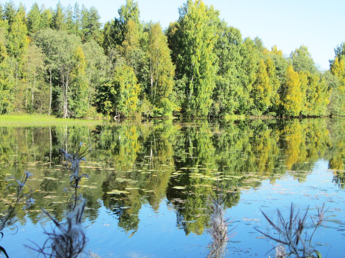 Купить загородную недвижимость в селе Кончезеро Кондопожского района,  продажа загородной недвижимости - база объявлений Циан. Найдено 2 объявления