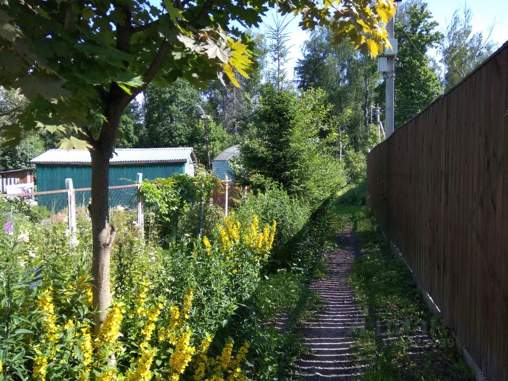 Купить участок 11сот. Московская область, Солнечногорск городской округ,  Лыткино деревня - база ЦИАН, объявление 184374939