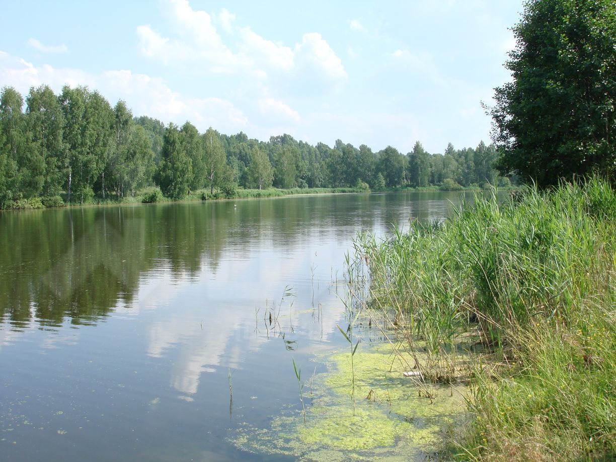 Купить дом в поселке Чистое Борское Нижегородской области, продажа домов -  база объявлений Циан. Найдено 1 объявление