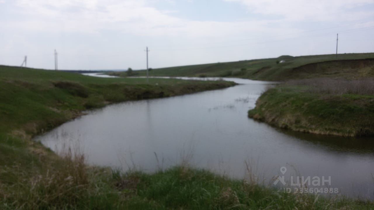 Купить земельный участок на улице Камыши-Хвощи в городе Пенза, продажа  земельных участков - база объявлений Циан. Найдено 1 объявление