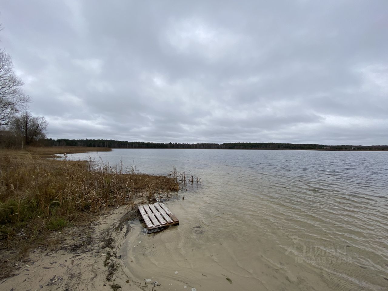 Купить загородную недвижимость в деревне Озерки Клепиковского района,  продажа загородной недвижимости - база объявлений Циан. Найдено 2 объявления