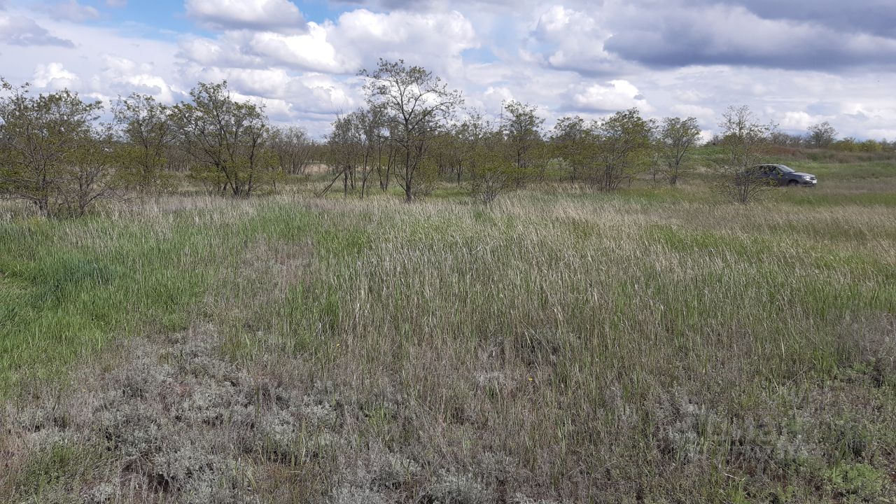 Купить участок 4 сотки в рабочем поселке Городище Волгоградской области.  Найдено 4 объявления.