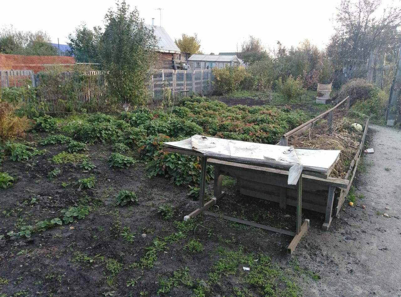 Купить загородную недвижимость в поселке Сингуль-Татарский Ялуторовского  района, продажа загородной недвижимости - база объявлений Циан. Найдено 1  объявление