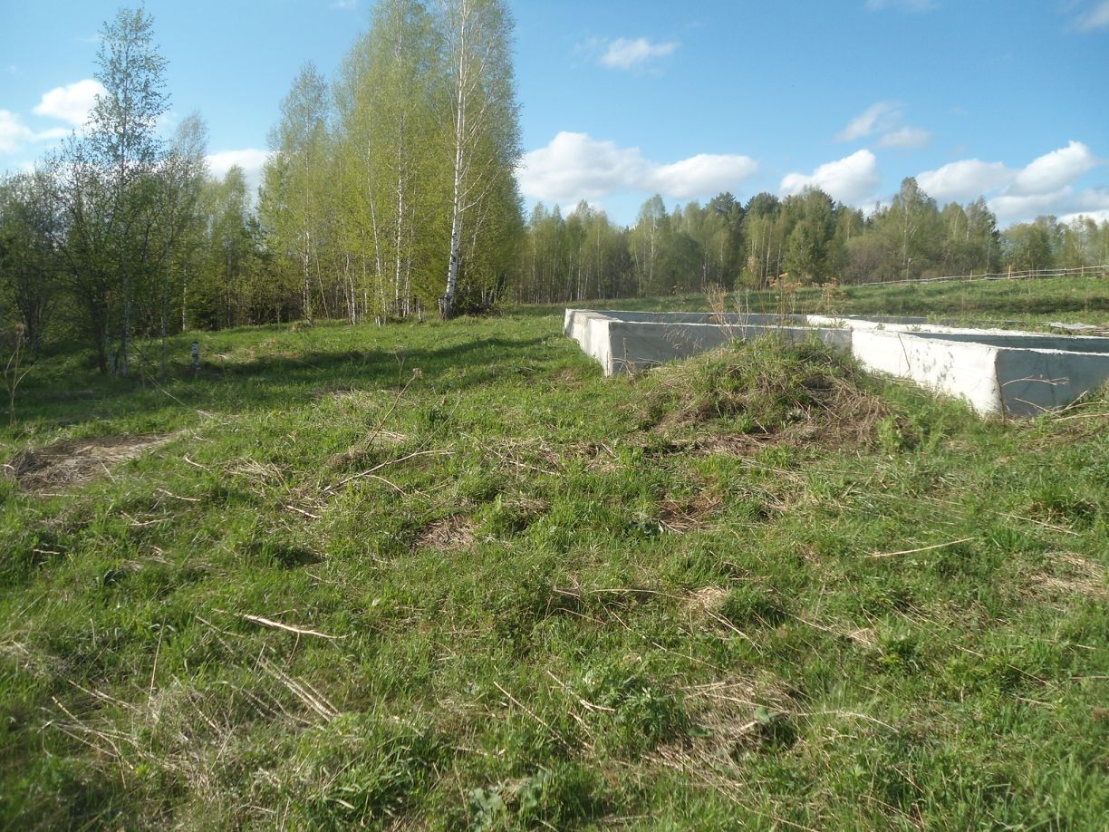 Купить загородную недвижимость в деревне Халдеево Томского района, продажа  загородной недвижимости - база объявлений Циан. Найдено 1 объявление