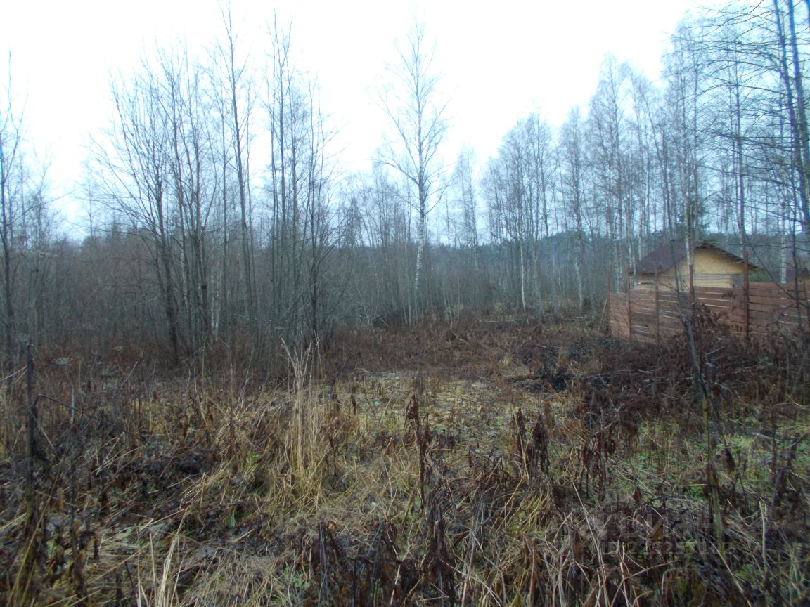 Купить загородную недвижимость в садовое товарищество Алмаз в городском  поселении Кузнечнинское, продажа загородной недвижимости - база объявлений  Циан. Найдено 5 объявлений