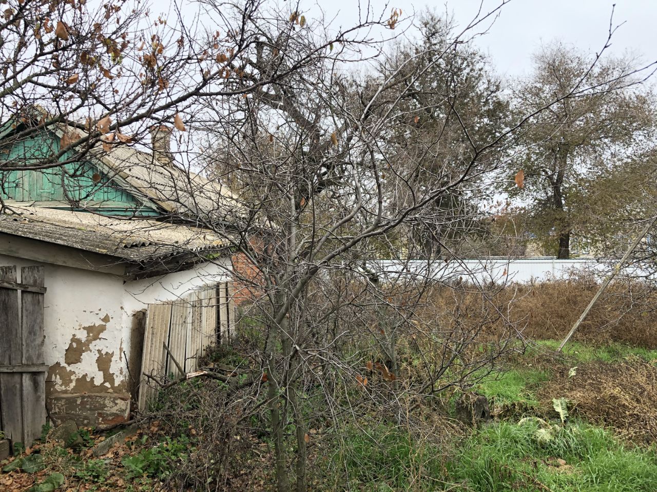 недорого дом в станице новопокровской (85) фото