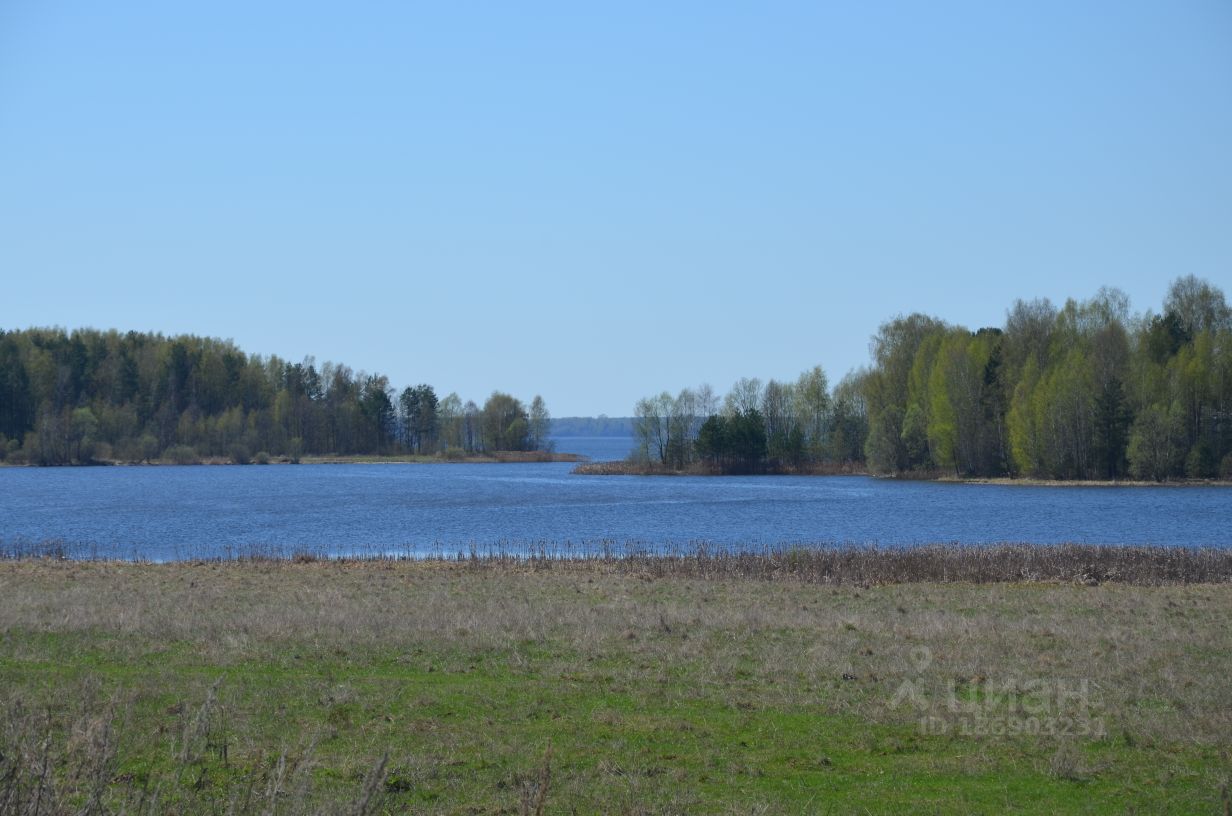 Купить загородную недвижимость в деревне Дресвищи Нижегородской области,  продажа загородной недвижимости - база объявлений Циан. Найдено 13  объявлений