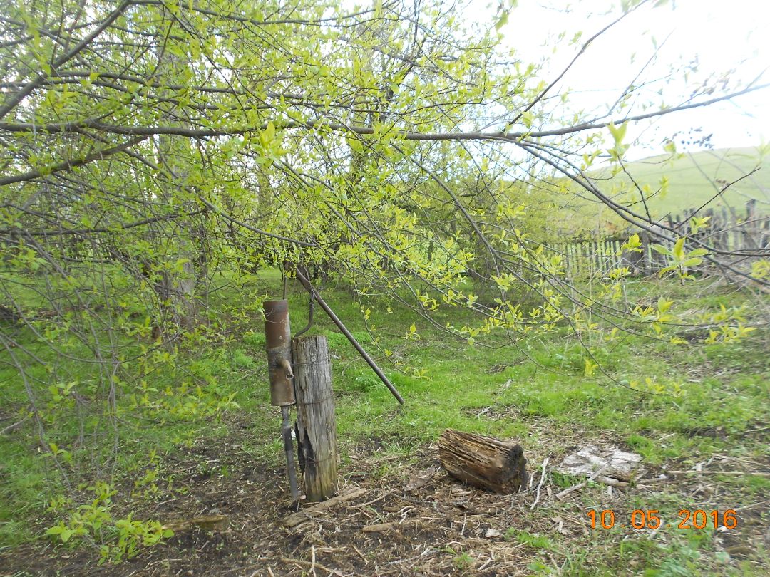 Купить загородную недвижимость в селе Куяган Алтайского района, продажа  загородной недвижимости - база объявлений Циан. Найдено 11 объявлений