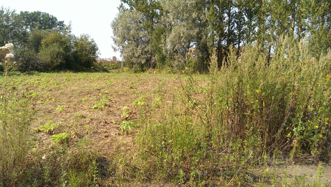 Купить загородную недвижимость в деревне Кузнечиха Ярославского района,  продажа загородной недвижимости - база объявлений Циан. Найдено 1 объявление