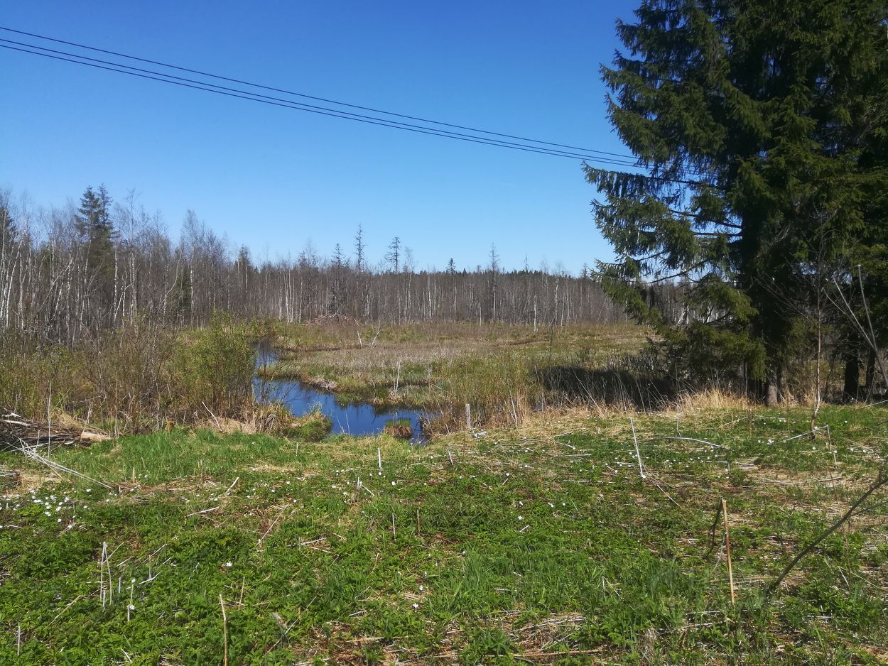 Купить загородную недвижимость в деревне Кузнецово Лужского района, продажа  загородной недвижимости - база объявлений Циан. Найдено 3 объявления