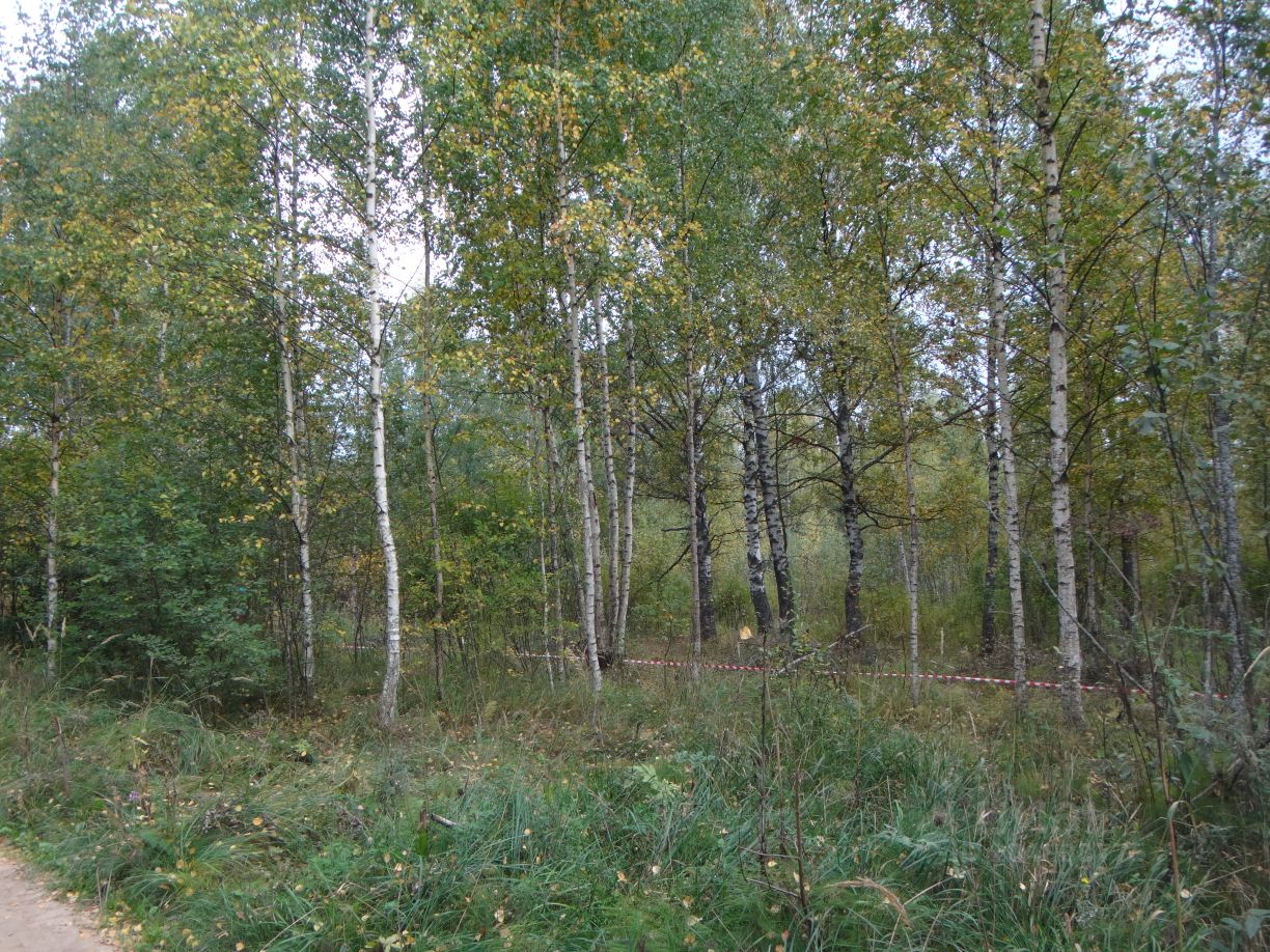 Купить загородную недвижимость в селе Княжьи Горы Зубцовского района,  продажа загородной недвижимости - база объявлений Циан. Найдено 5 объявлений