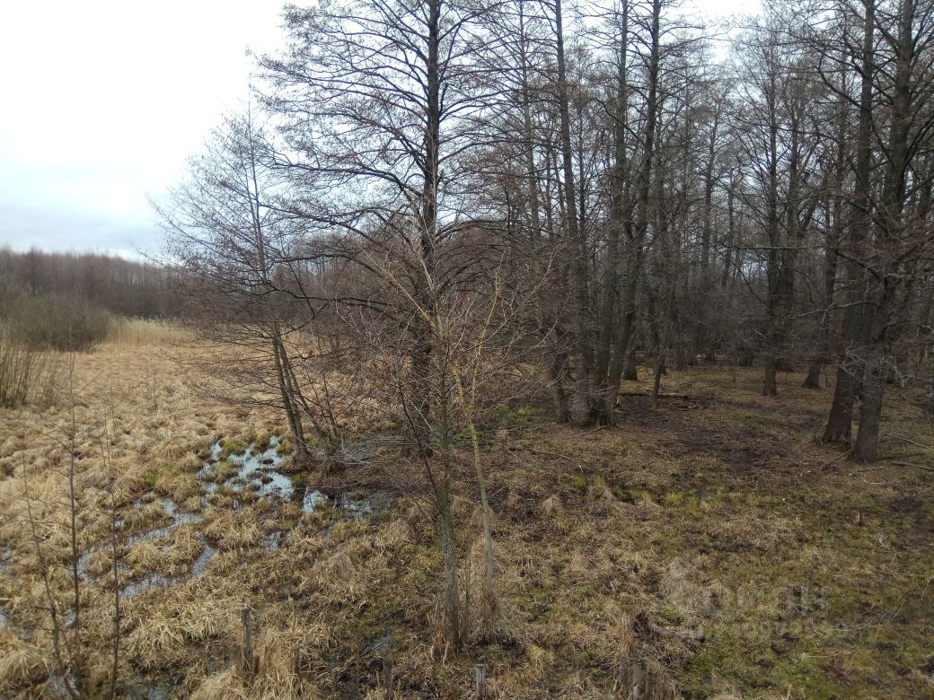 Купить загородную недвижимость в рабочем поселке Рамонь Воронежской  области, продажа загородной недвижимости - база объявлений Циан. Найдено 6  объявлений