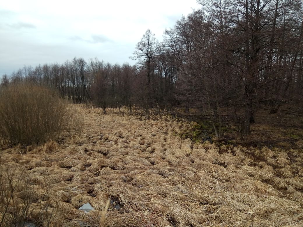 Купить загородную недвижимость в рабочем поселке Рамонь Воронежской  области, продажа загородной недвижимости - база объявлений Циан. Найдено 6  объявлений