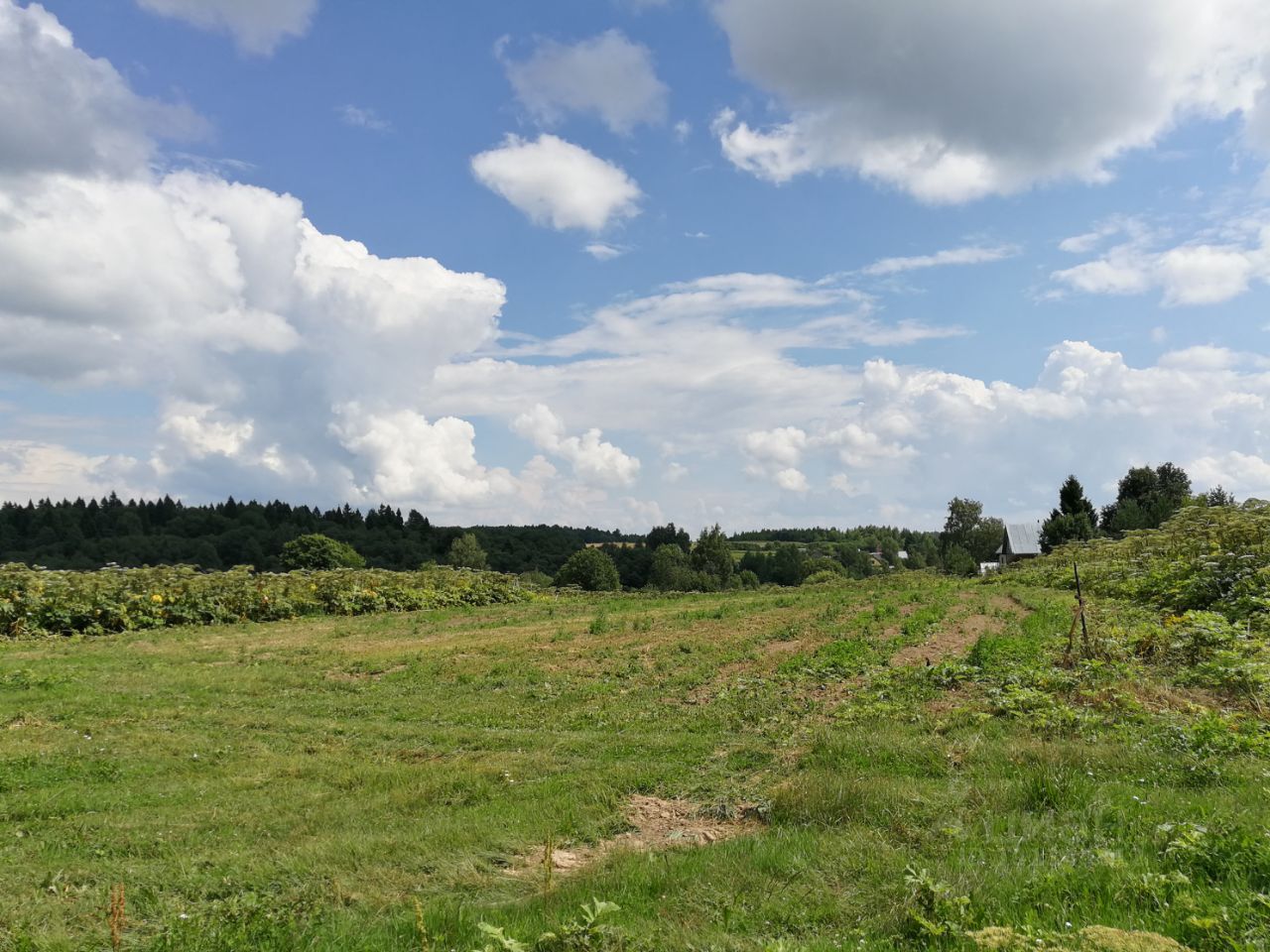 Купить загородную недвижимость в деревне Поповское Ярославской области,  продажа загородной недвижимости - база объявлений Циан. Найдено 1 объявление