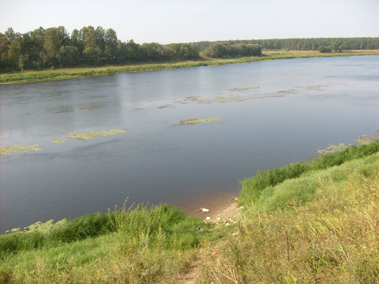 Купить загородную недвижимость в коттеджном поселке Долина Селигера в  муниципальном округе Селижаровский, продажа загородной недвижимости - база  объявлений Циан. Найдено 3 объявления