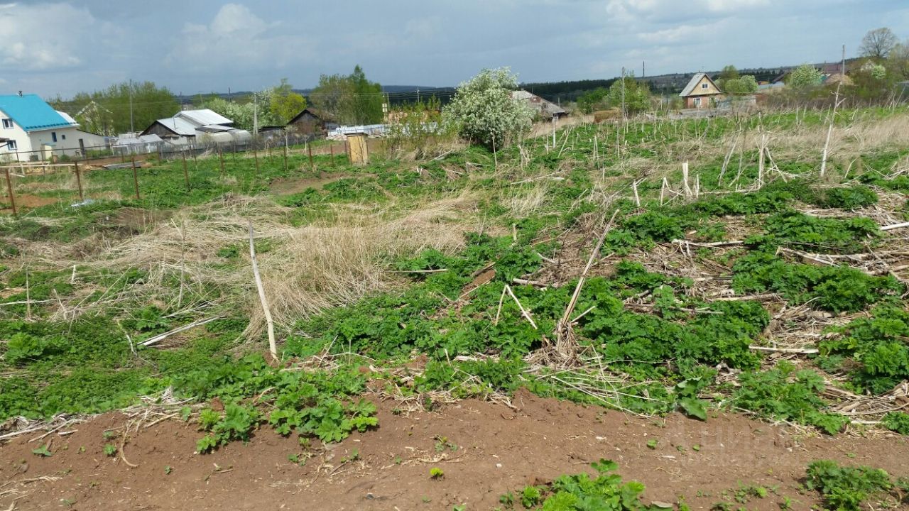 Купить земельный участок в деревне Косотуриха Пермского района, продажа  земельных участков - база объявлений Циан. Найдено 3 объявления